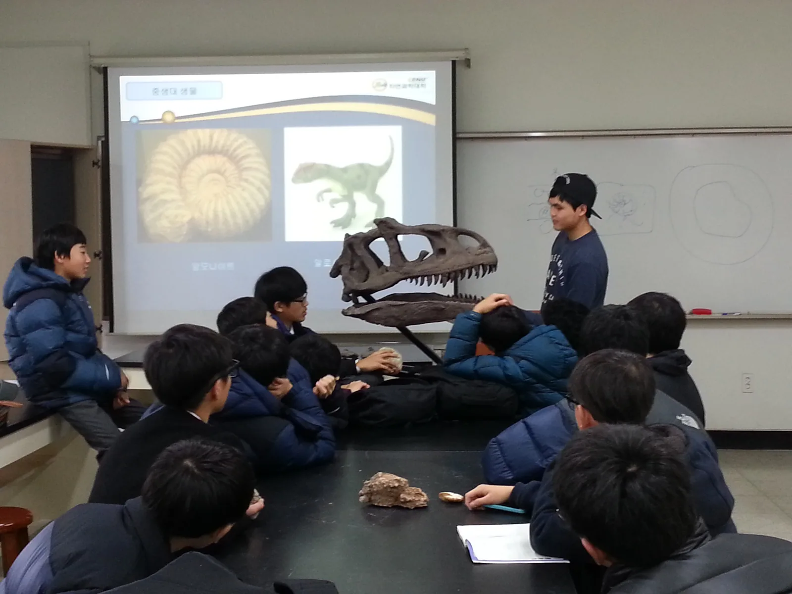 공룡 두개골로 배우는 중생대 이야기